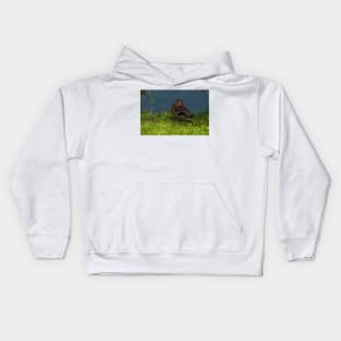 Duck in the grass Kids Hoodie